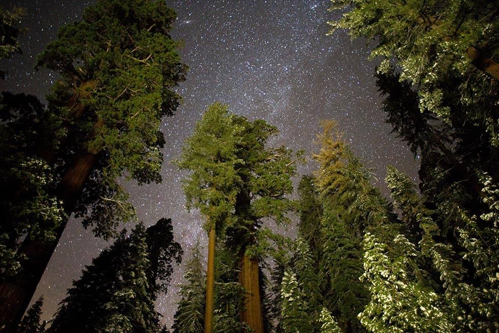 John Muir Lodge Hume Eksteriør bilde