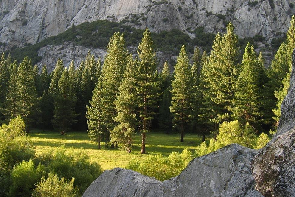 John Muir Lodge Hume Eksteriør bilde