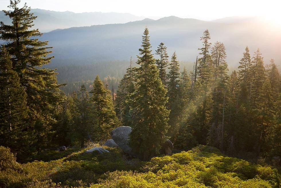 John Muir Lodge Hume Eksteriør bilde