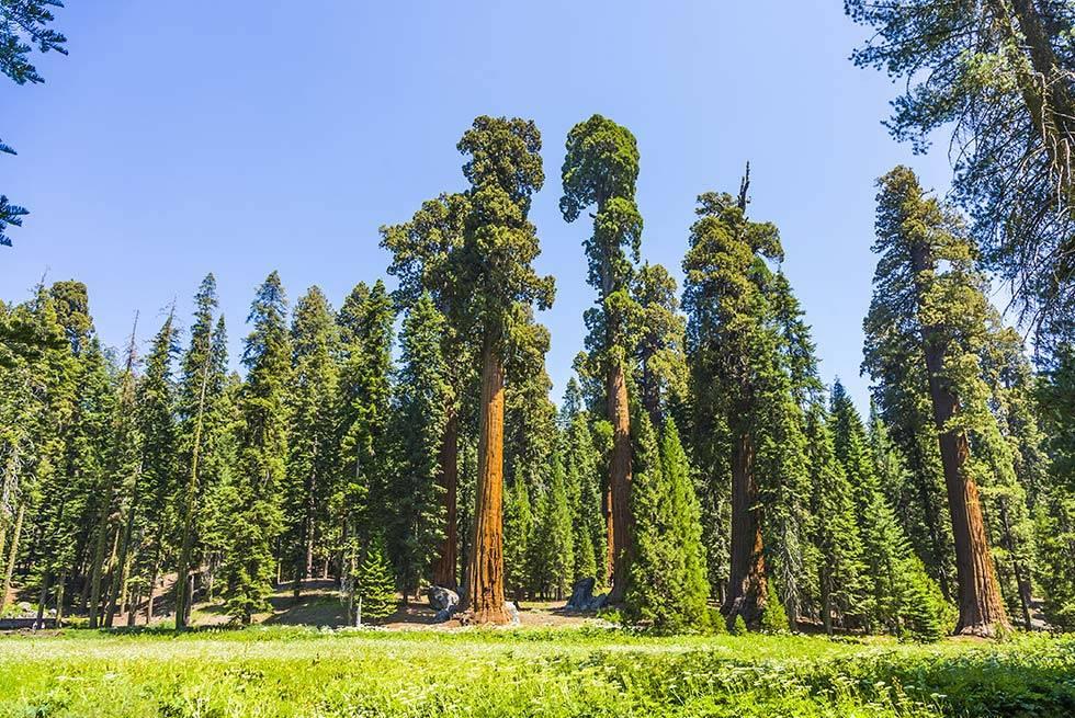 John Muir Lodge Hume Eksteriør bilde